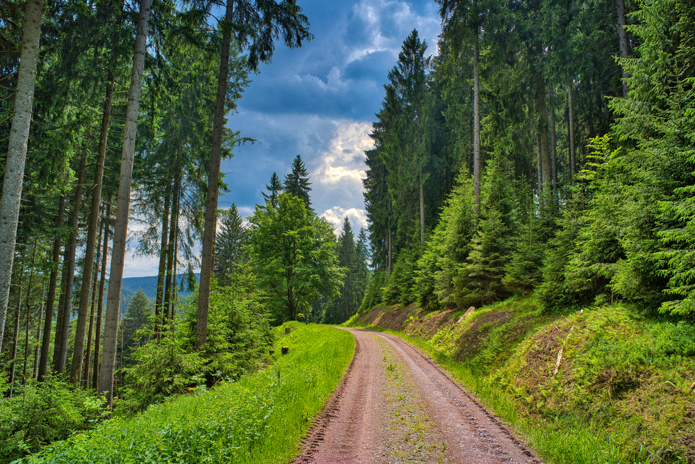 wandern auf dem rennsteig