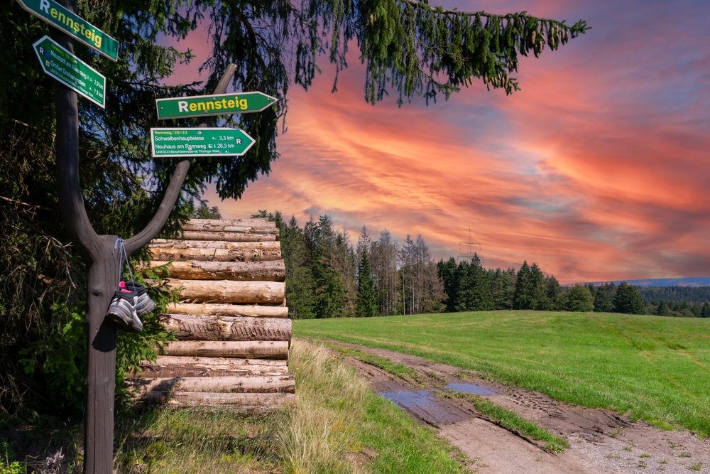 thüringer wald