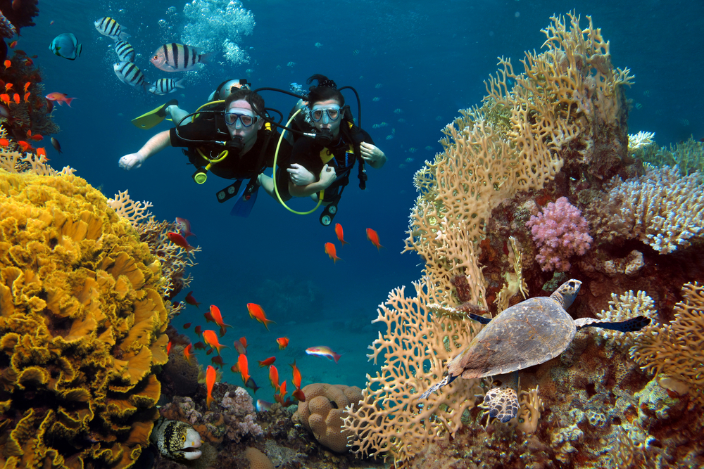 tauchgang auf den similan inseln