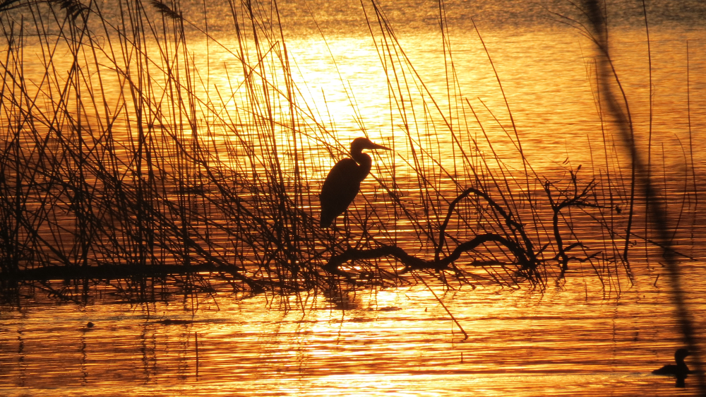 Sonnenuntergang am Erie-See