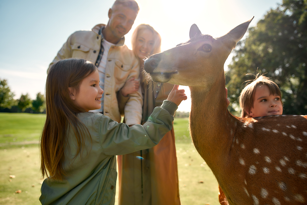 Tierpark Freiberg