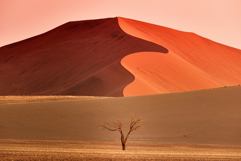 namib wüste